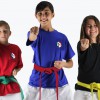 Therapeutic Martial Arts