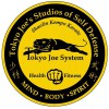 Tokyo Joe's Karate