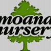 Moana Nursery