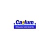 Caelum Research