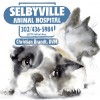 Crossroads Veterinary Clinic At Selbyville Animal Hospital