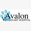 Avalon Veterinary Hospital