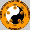 Hebei Chinese Martial Arts Institute