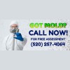 Tucson Mold Removal Pros