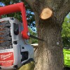 Treehugger Tree Service