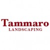 Tammaro Landscaping & Property Services