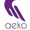 Aeko Technologies, IT Services & Cyber Security