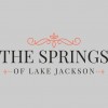 The Springs Of Lake Jackson