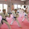 Lenexa Karate Academy