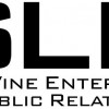 Steve LeVine Entertainment