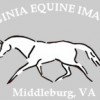 Virginia Equine Imaging