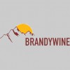 Brandywine Real Estate Management Services Coporation