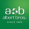 Albert Brothers