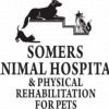 Somers Animal Hospital