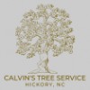 Hickory Tree Service