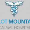 Pilot Mountain Animal Hospital