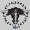 Willcox Livestock Auction