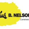 Julius B Nelson & Sons