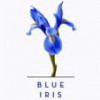 Blue Iris Spa & Salon