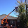 D. W. Tree Service