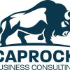 Caprock Business Consulting