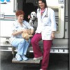 Action Care Mobile Veterinary