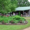 Evening Shade Farms