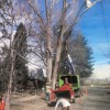 3 Generations Tree Service