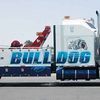 Bulldog Towing