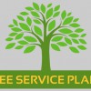 Tree Service Plano