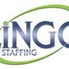 Lingo Staffing