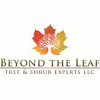 Beyond The Leaf Tree & Shrub Experts