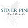 Silver Pine Real Estate