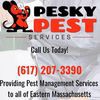 Pesky Pest Services