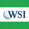 WSI Web Profit Solutions