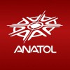 Anatol Automation