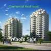 Commercial Real Estate Wholesale