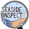 Seaside Inspect