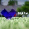 Bella Realty Group