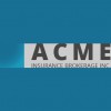 Acme Insurance Brokerage