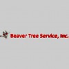 Tomball Tree Service