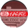 World Champion Jeff Smith's Mile High Karate