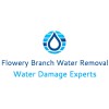 Flowery Branch Water Removal Experts