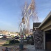 Joel's Tree Services