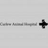 Curlew Animal Hospital