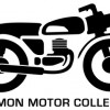 Common Motor Collective