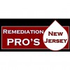 Remediation Pros