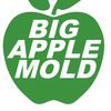 Big Apple Mold Removal Long Island