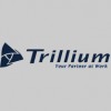 Trillium Construction Service