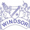 Windsor Auction